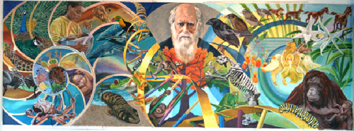Mural created by David Fichter for FROM ORCHIDS TO OCTOPI