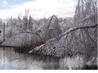icestormpic22