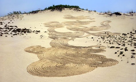 Photograph by Daniel Ranalli