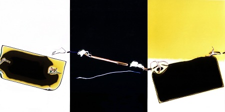 Cree Bruins, TAGLINE (2011), 35mm slides on lightboxes, dimensions variable