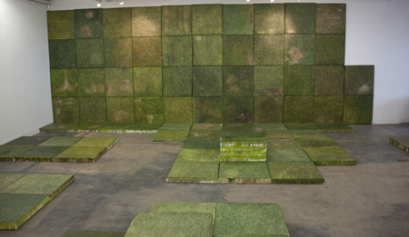 Daniela Rivera, GROWTH (2011), oil on canvas on board, 8x30x30 ft