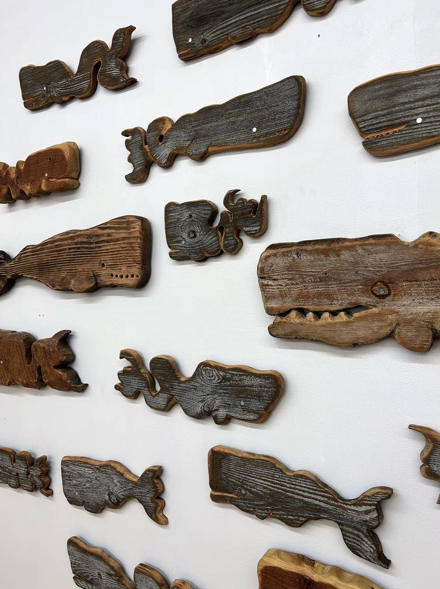 A wall display of carved wooden whales of different shapes and sizes.