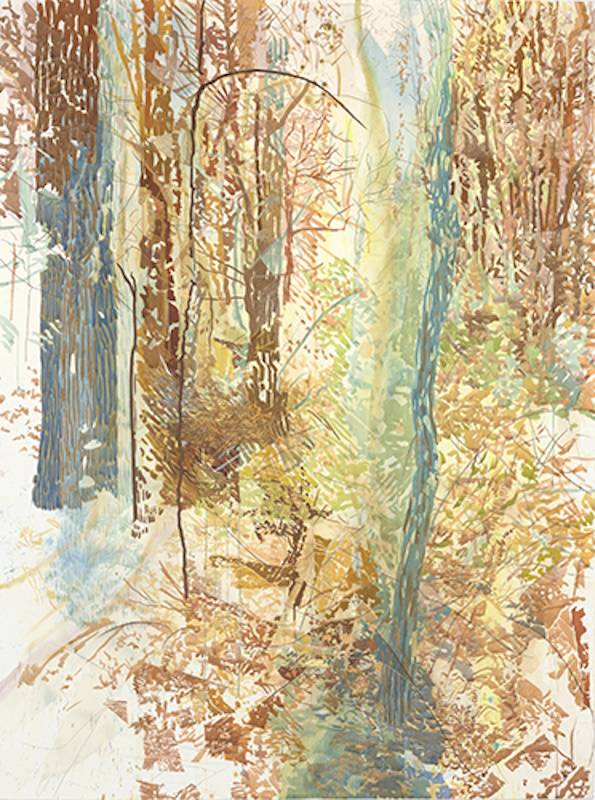 Vivid drawing of the woods in the Middlesex Fells Reservation.